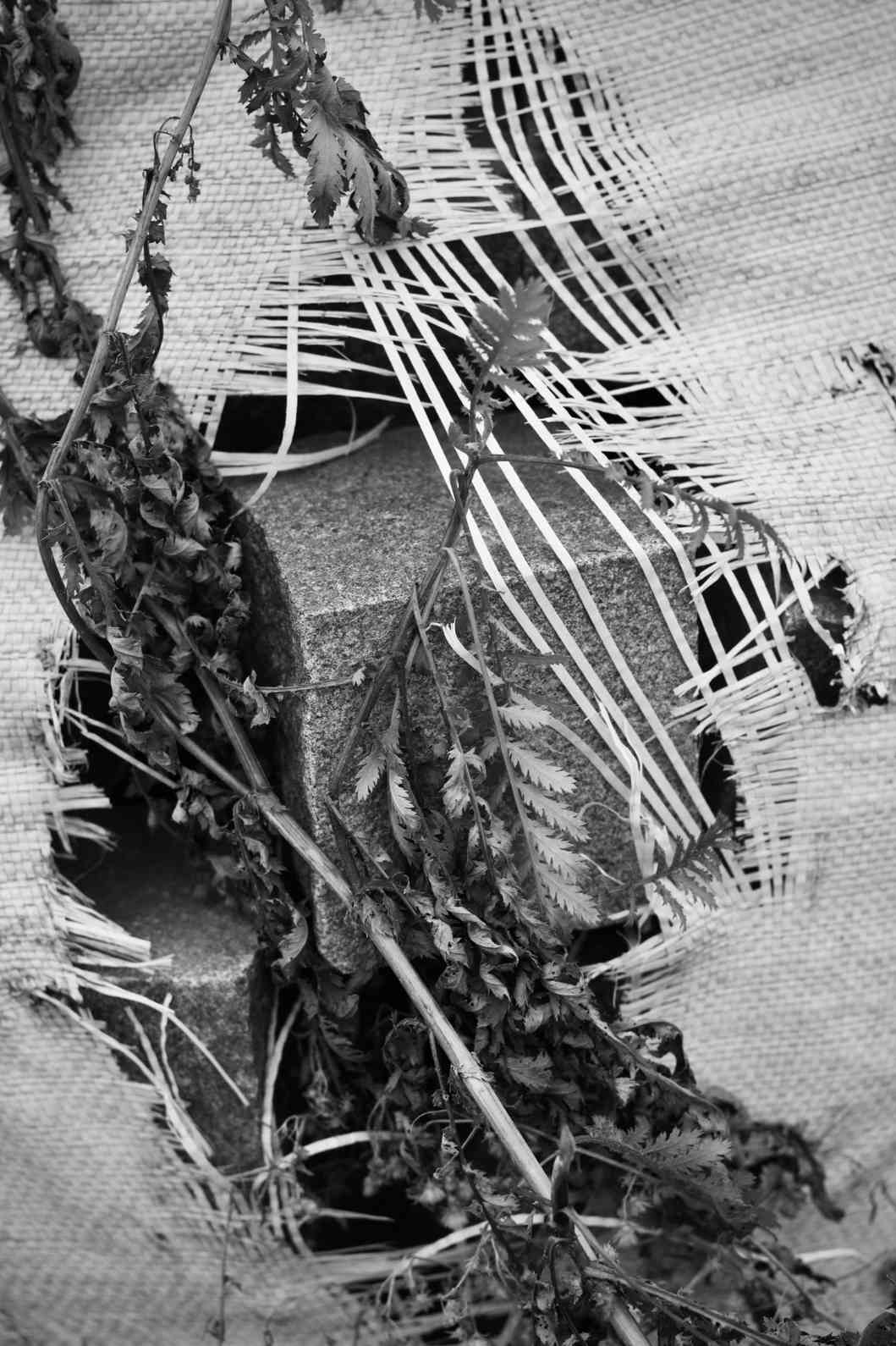 Raw Materials & Essentials